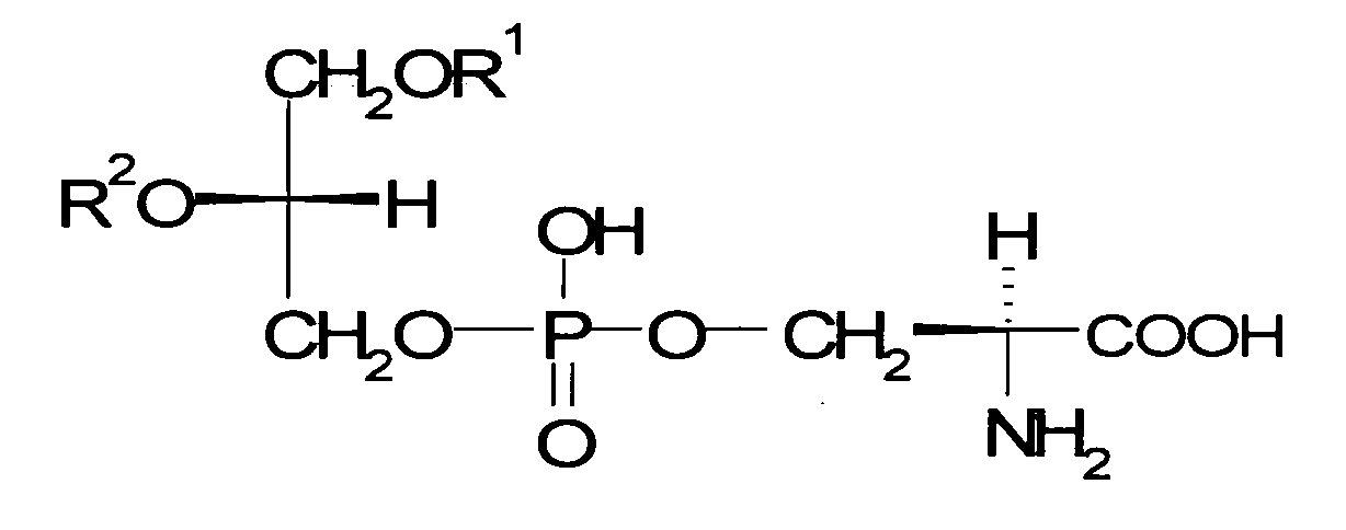 Figure imgb0010