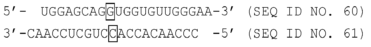 Figure imgb0032
