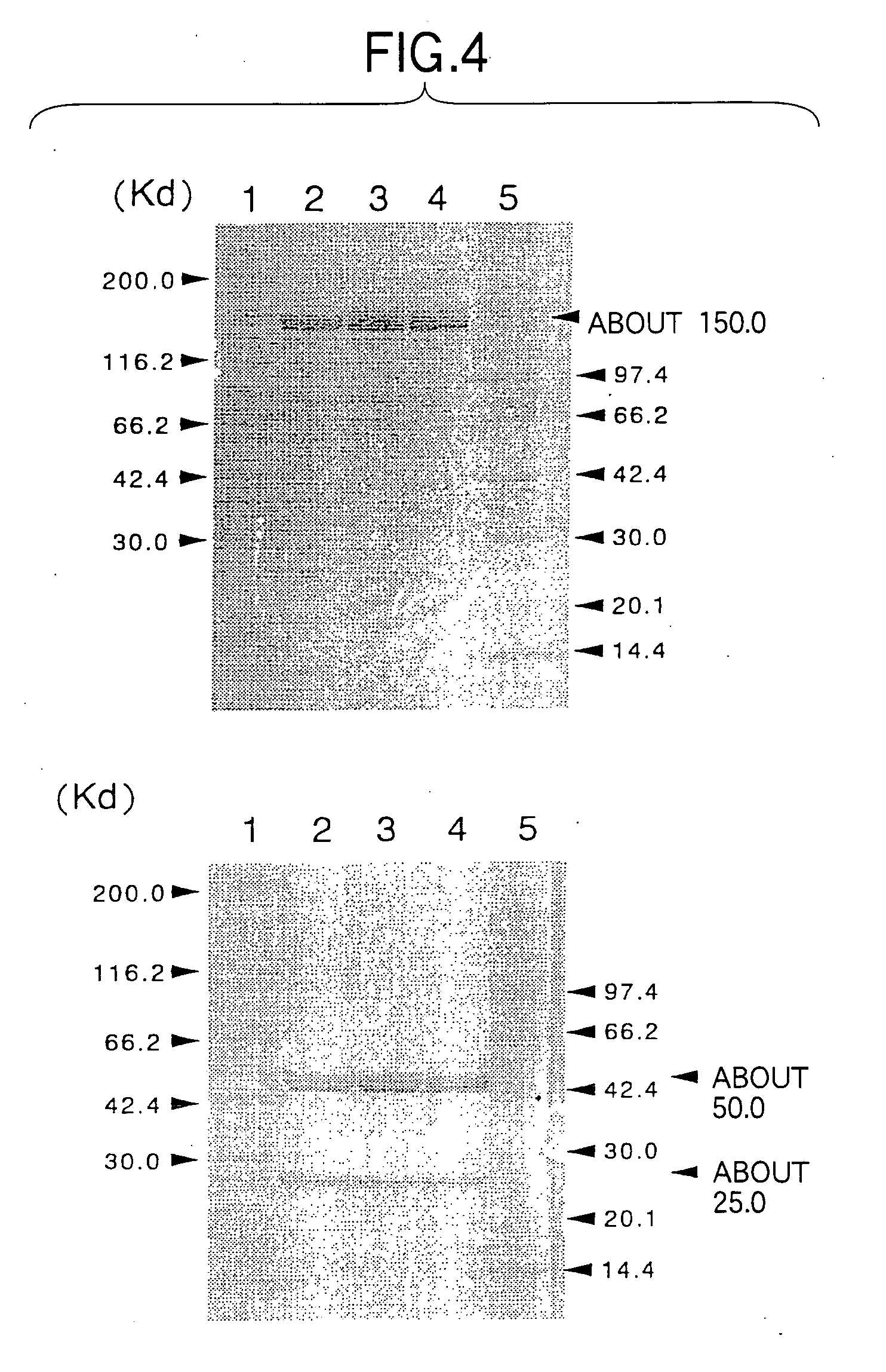 Prospect Medicament - One-Alpha 1 microgram capsule moi