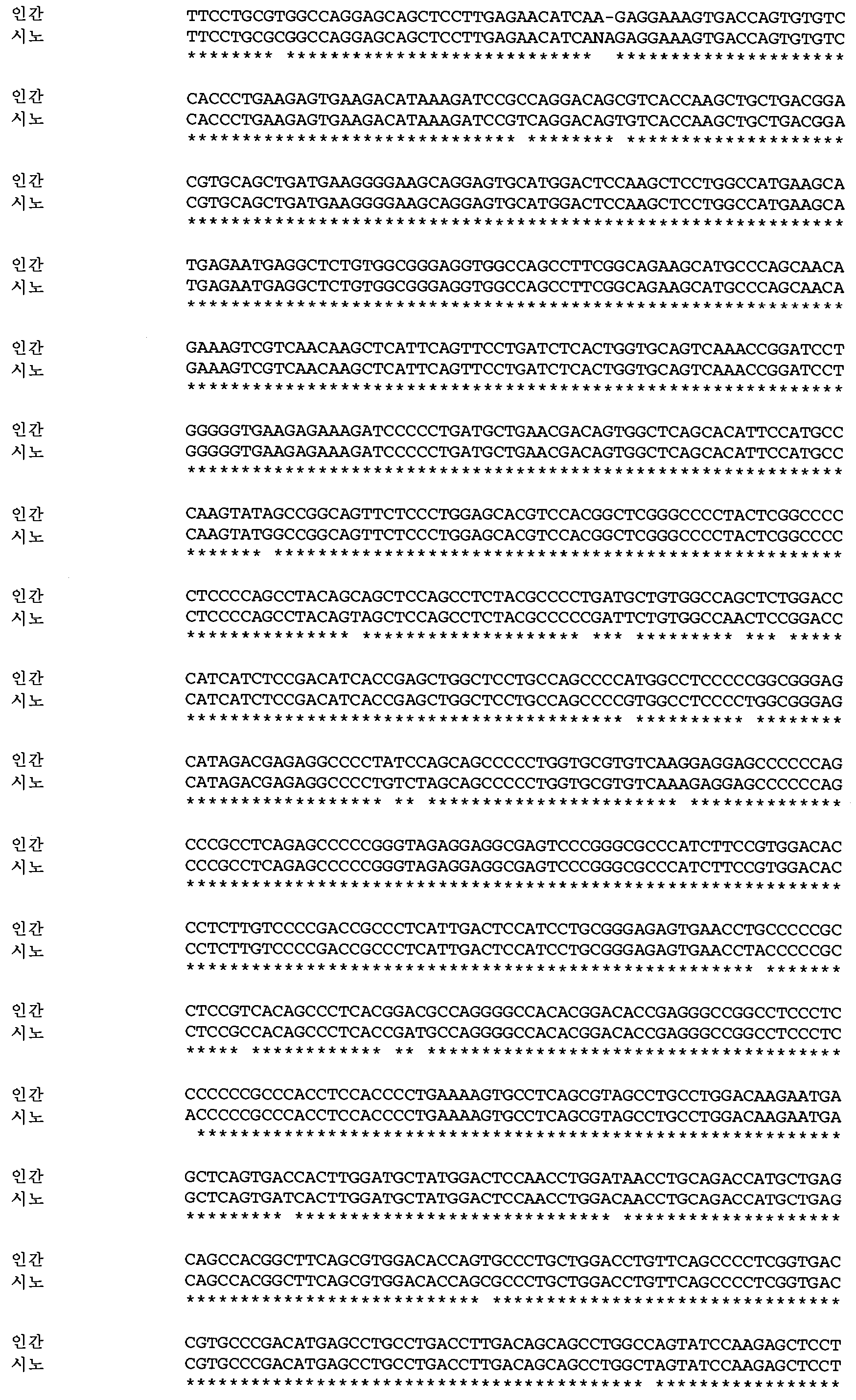 KR20120104381A - Ｈｓｆ1-관련 질환을 치료하기 위한 유기 조성물 - Google Patents