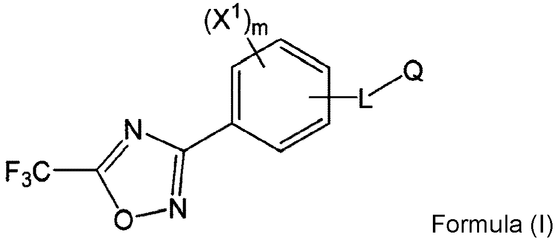 Figure imgb0045