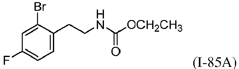 Figure imgb0205