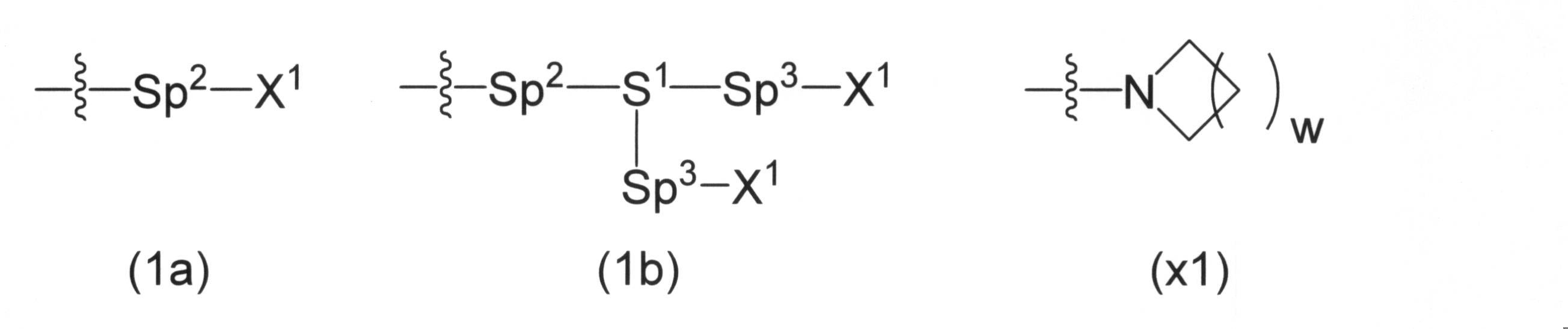 Figure JPOXMLDOC01-appb-C000003