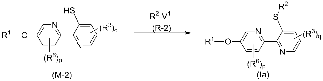 Figure JPOXMLDOC01-appb-C000013