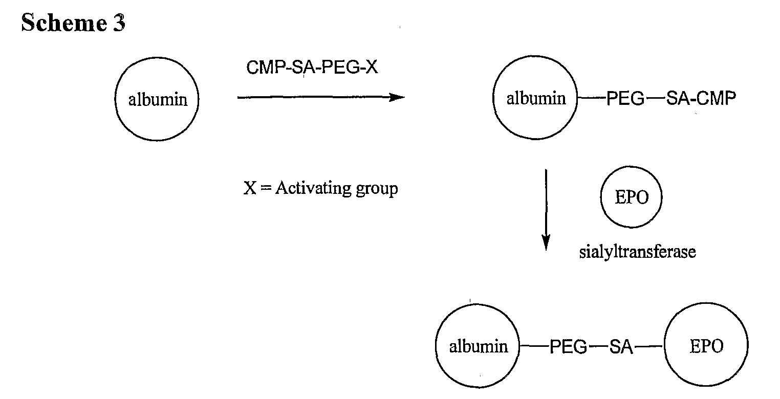 Figure imgb0020