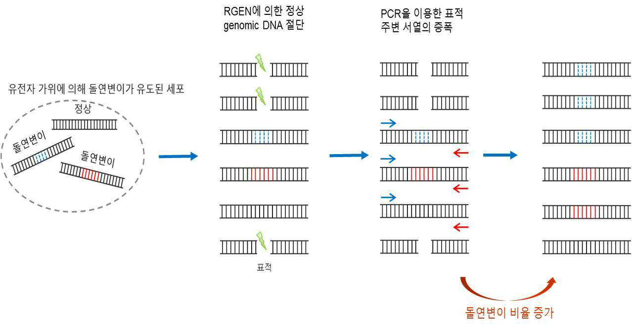 특허 도면 2