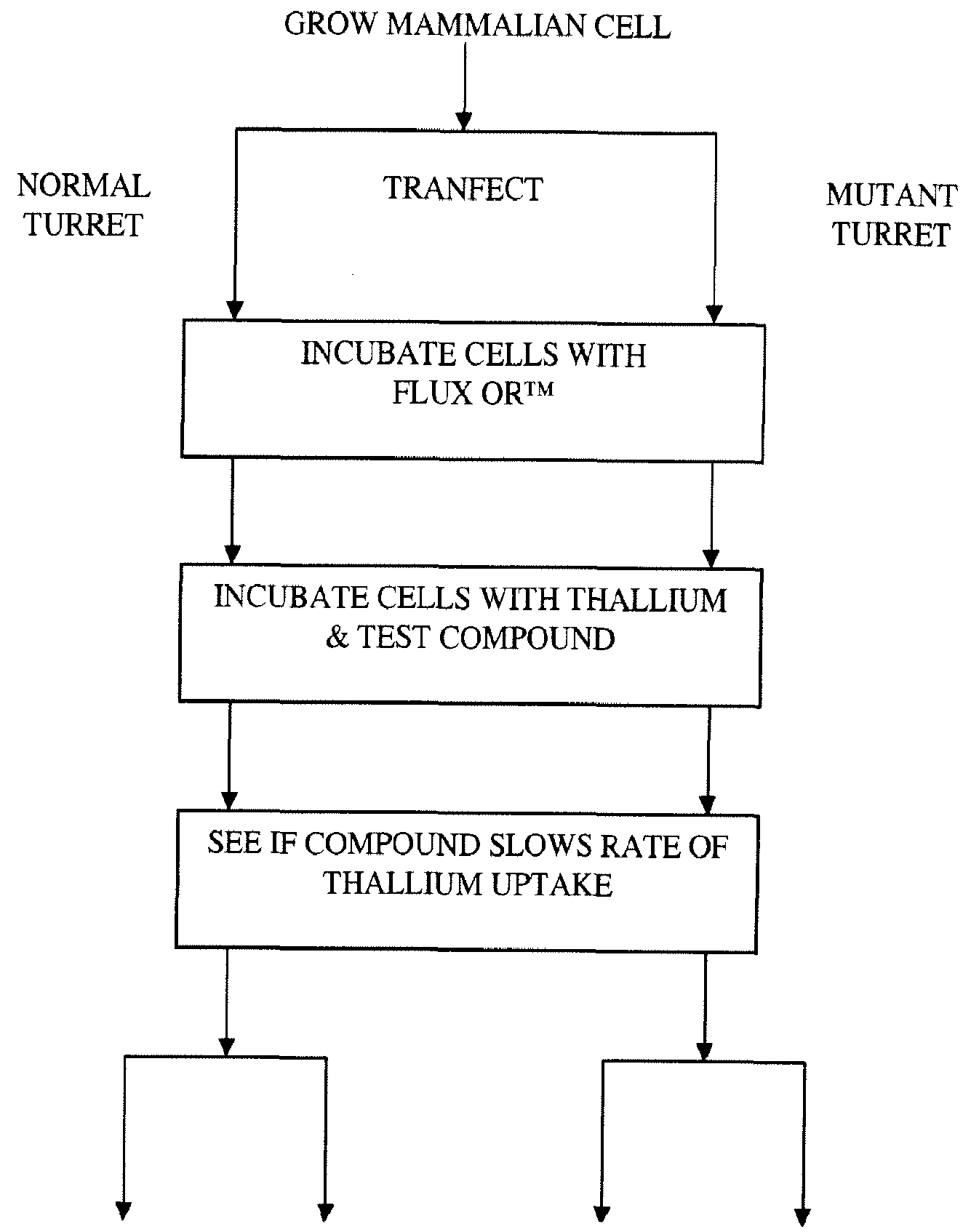 Figure imgf000053_0001