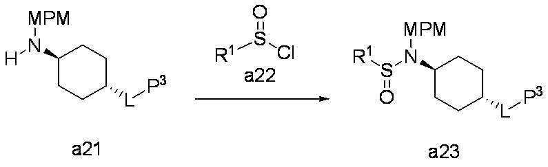 Figure JPOXMLDOC01-appb-C000030