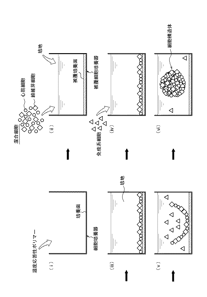 Figure 2017163911