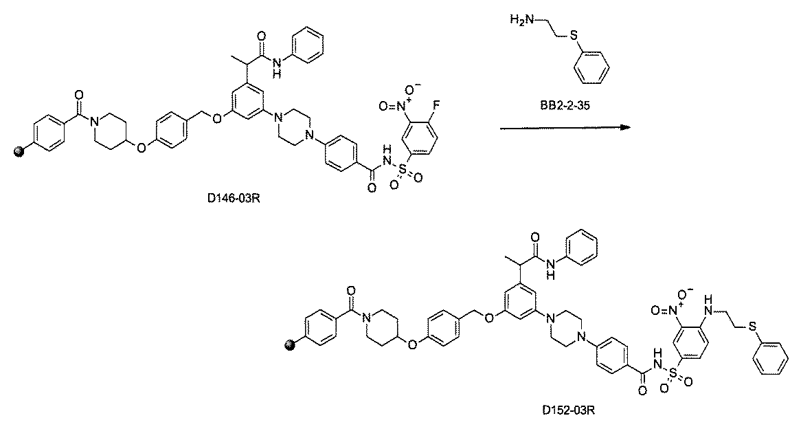 Figure JPOXMLDOC01-appb-C002579