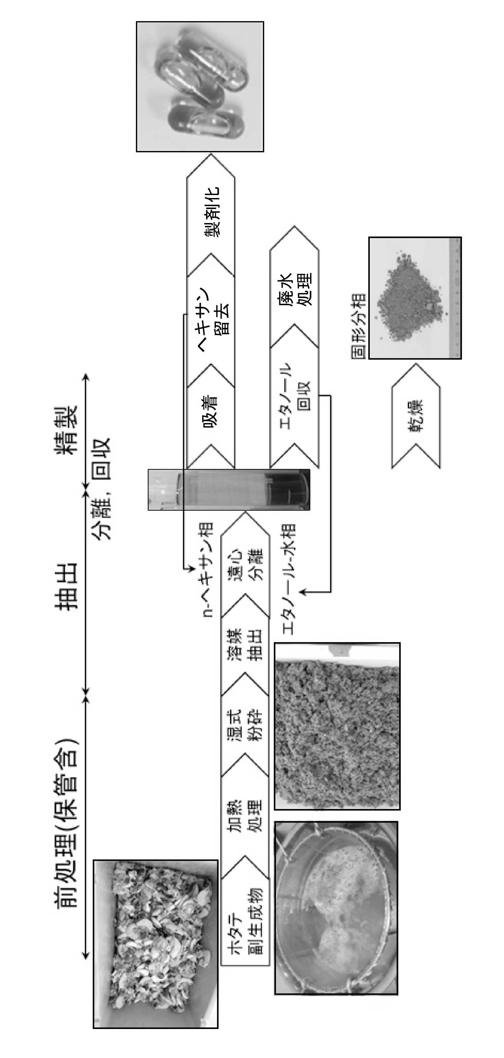 Wo1614a1 脂質組成物及びその製造方法 Google Patents