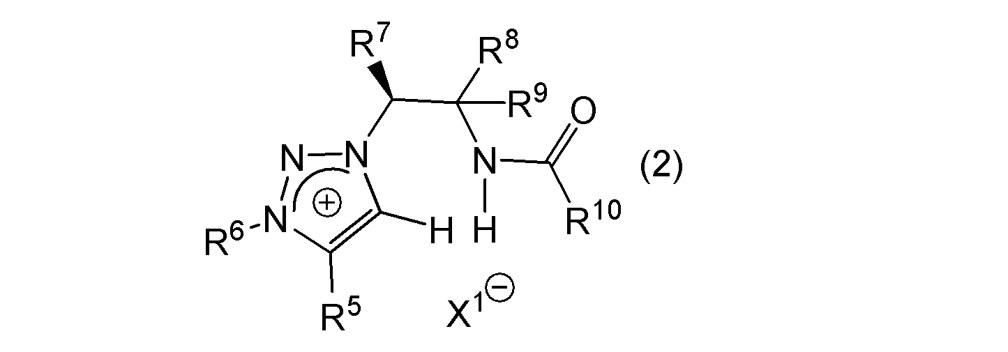Figure JPOXMLDOC01-appb-C000047