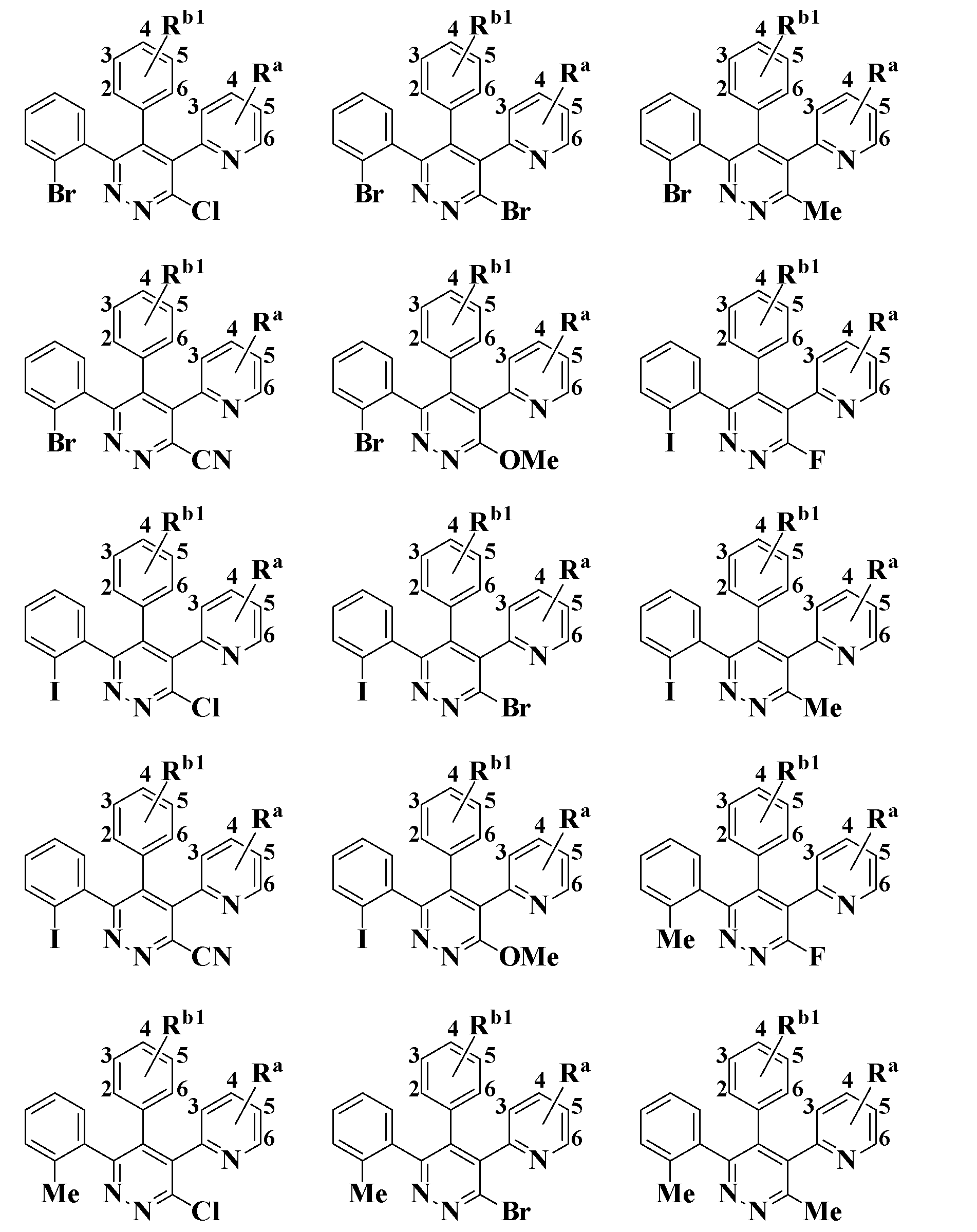 Figure JPOXMLDOC01-appb-C000039
