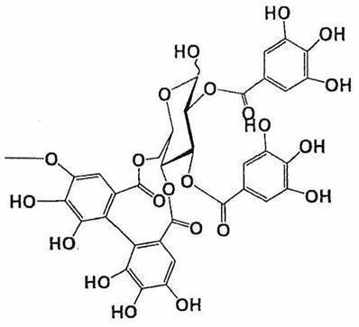 Figure JPOXMLDOC01-appb-C000002