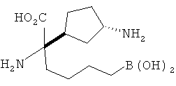 Figure 00000204