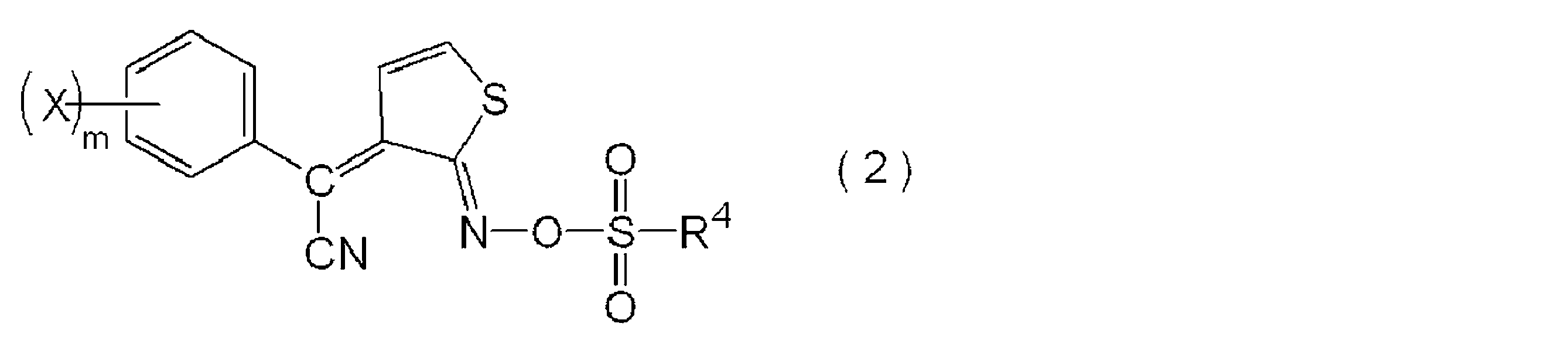 Figure JPOXMLDOC01-appb-C000009