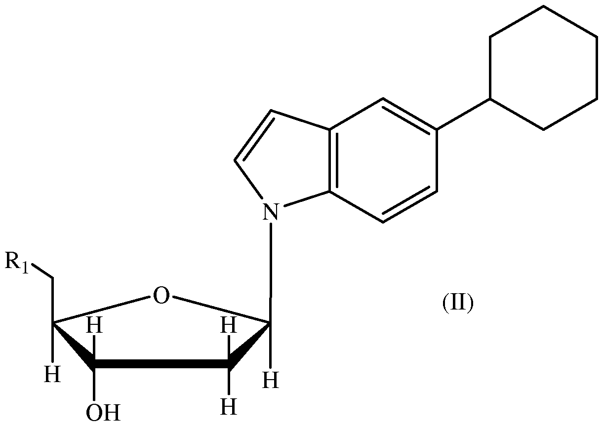 Figure imgf000013_0001