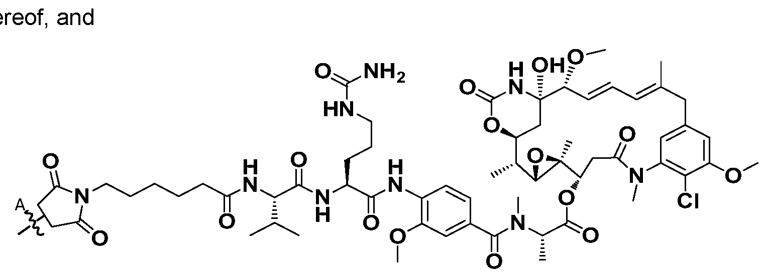 Figure imgf000013_0003