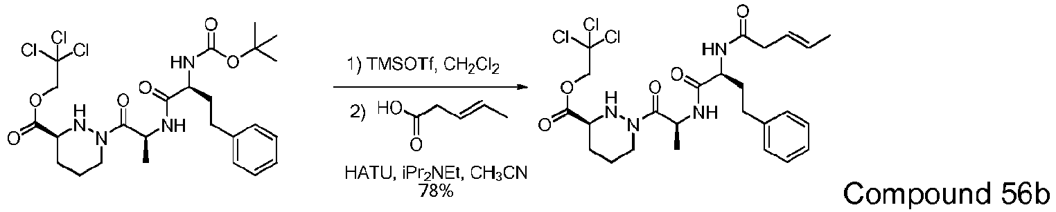 Figure imgb0304