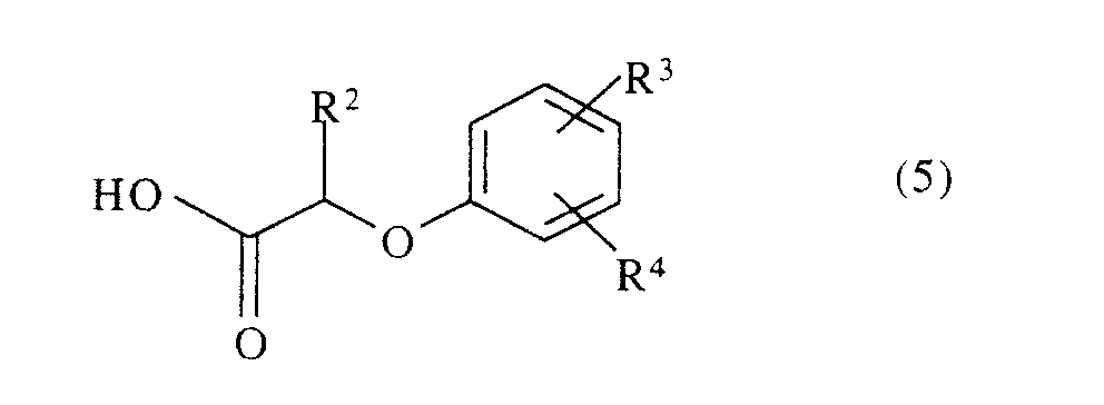 Figure 00510002