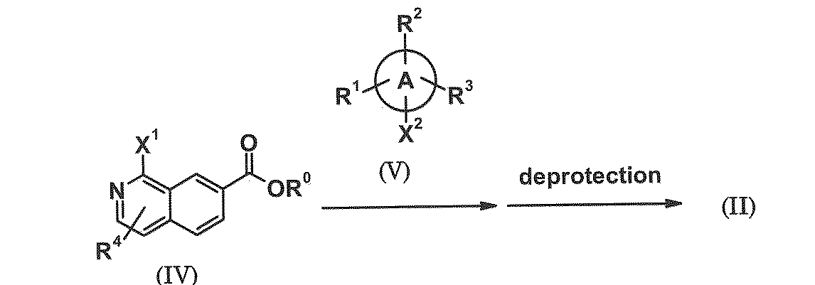 Figure JPOXMLDOC01-appb-C000010