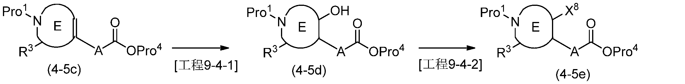 Figure JPOXMLDOC01-appb-C000041