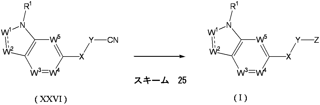 Figure JPOXMLDOC01-appb-C000058