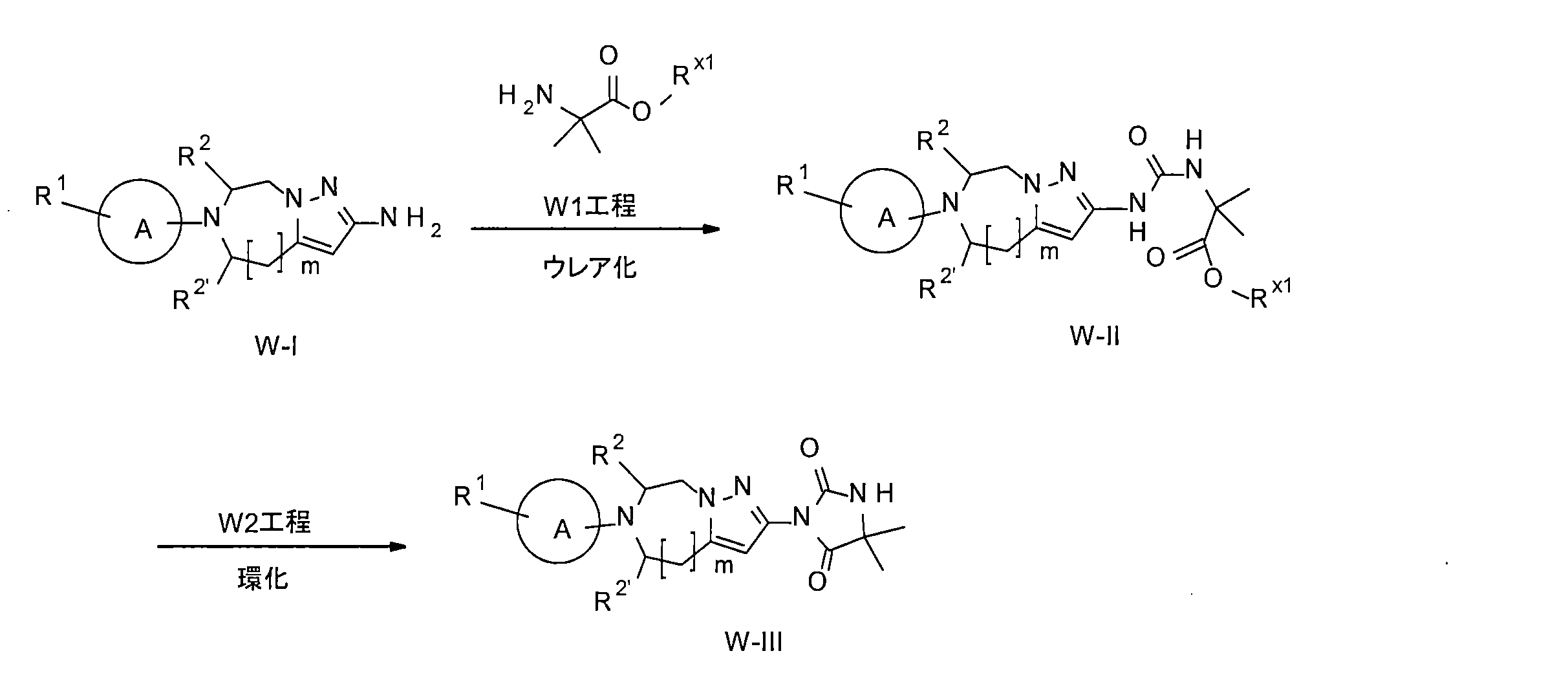 Figure JPOXMLDOC01-appb-C000050