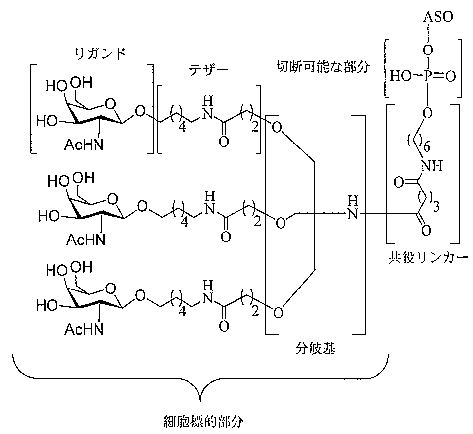 Figure 2022017514000010