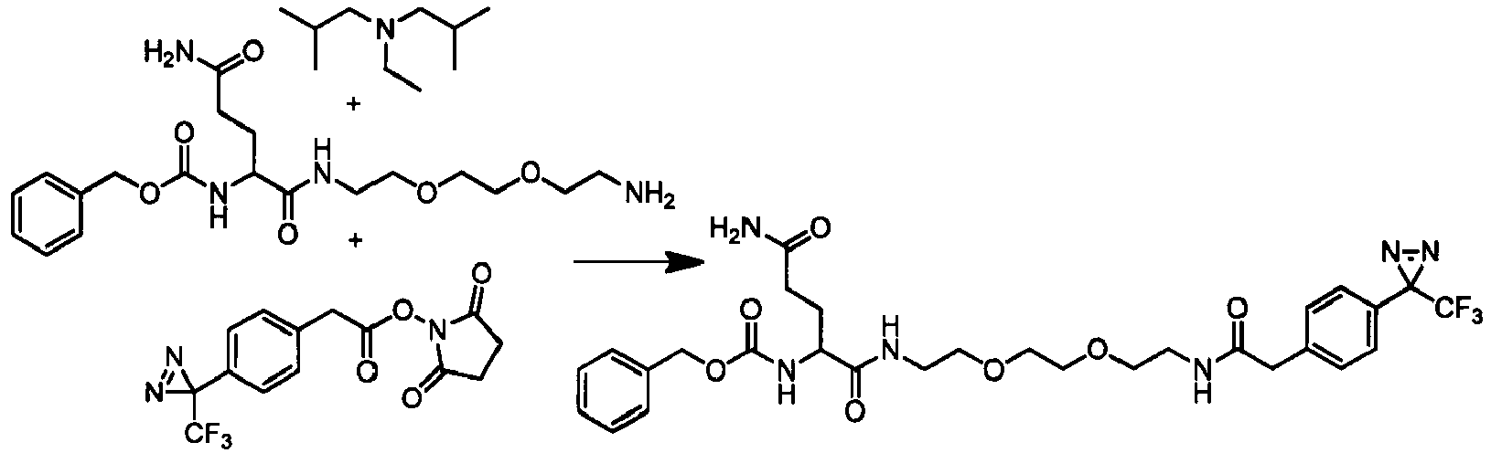 Figure imgb0169