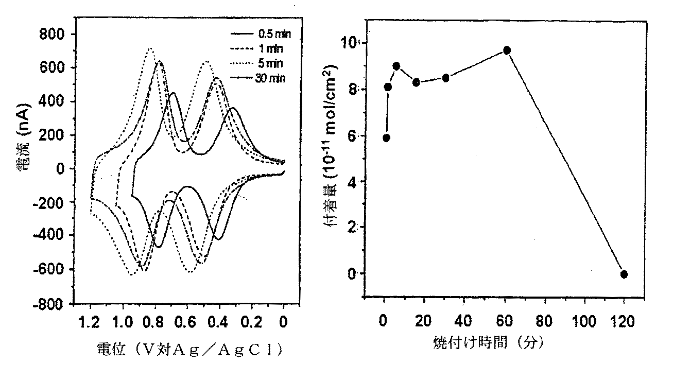 Figure 2007502013