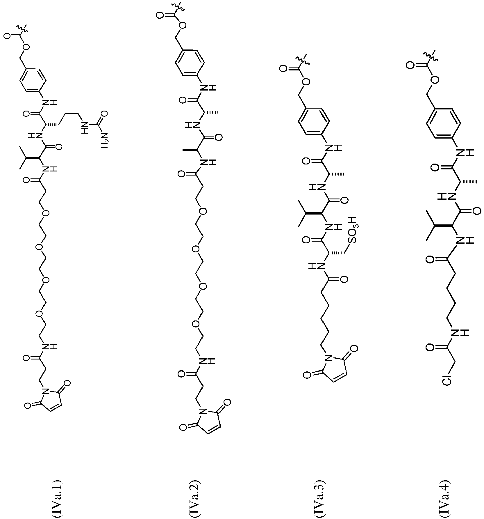 Figure imgb0113
