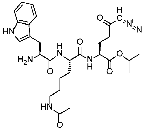 Figure imgb0063