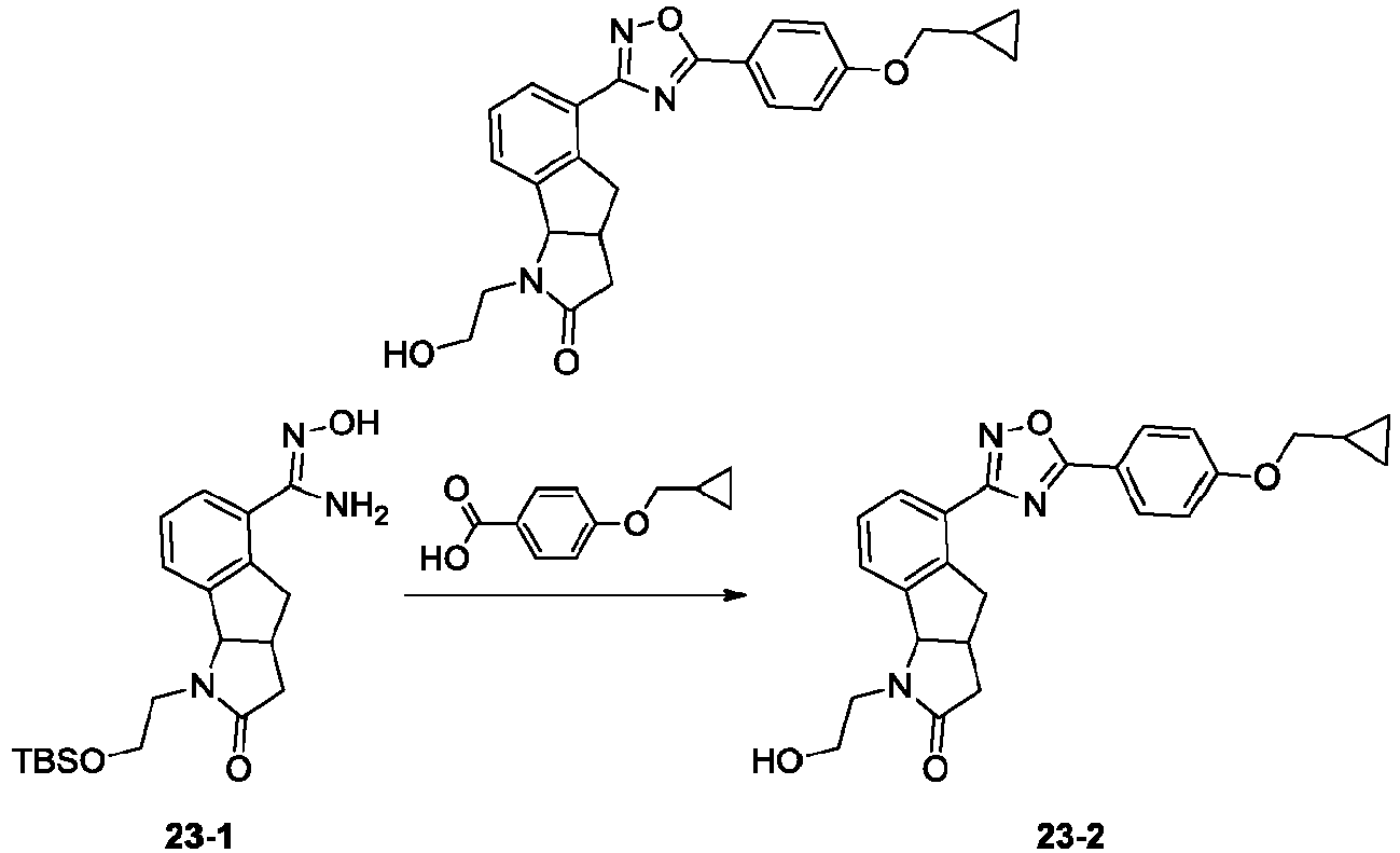Figure imgb0205