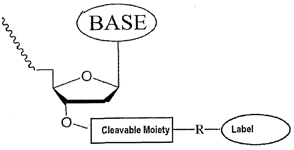 Figure imgf000335_0001