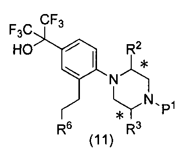 Figure JPOXMLDOC01-appb-C000017