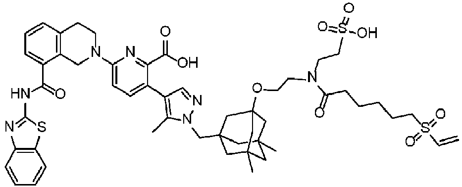 Figure imgb0569