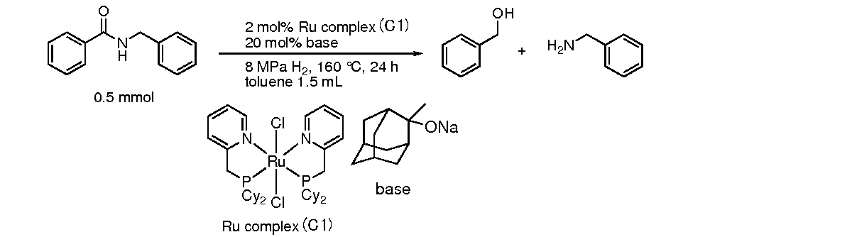 Figure JPOXMLDOC01-appb-C000029