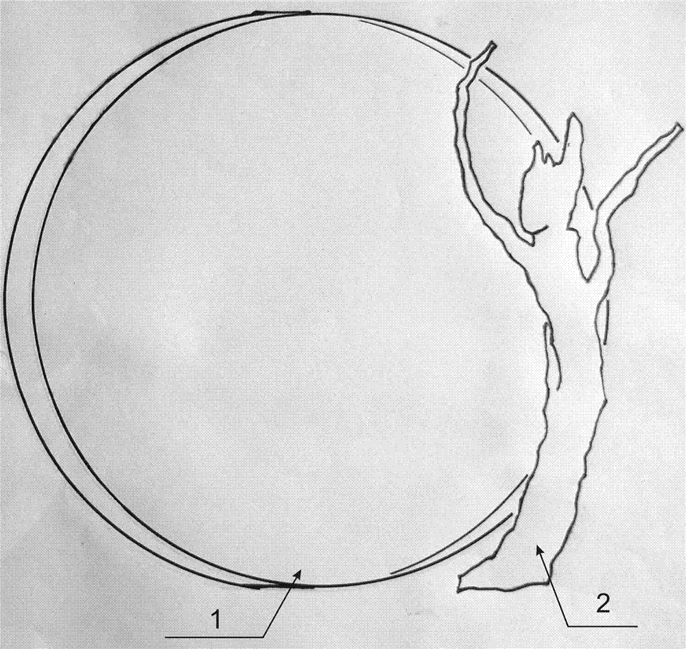 Figure 201220175481