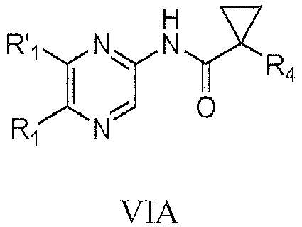 Figure imgb0447