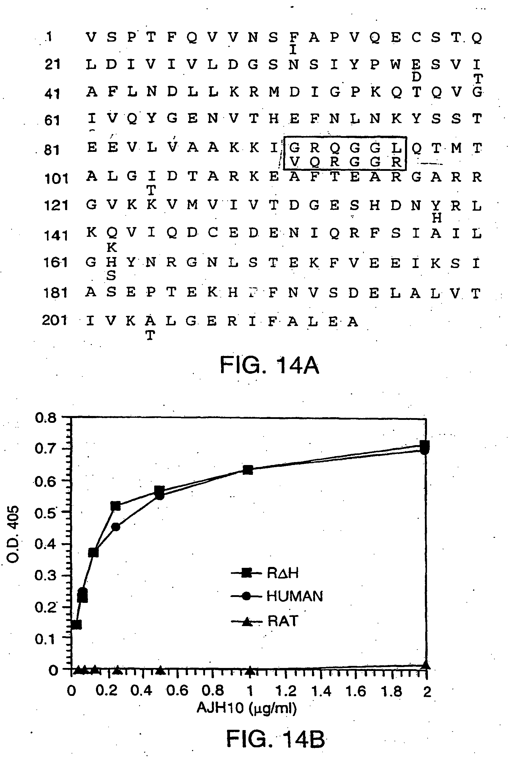 Epb1 A Blocking Monoclonal Antibody To Vla 1 And Its Use For The Treatment Of Vascular Disorders Google Patents