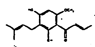 Figure imgb0031