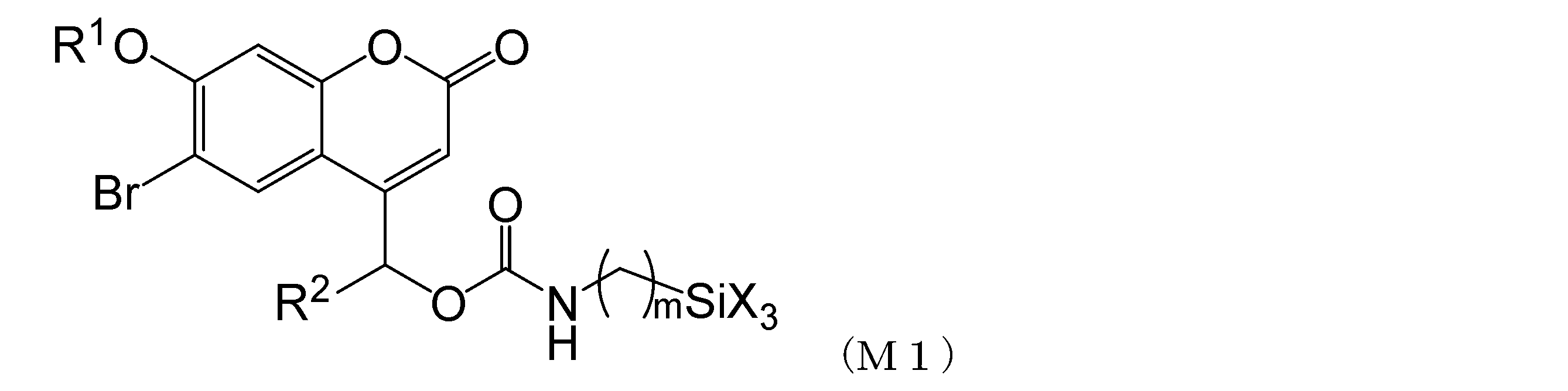 Figure JPOXMLDOC01-appb-C000003