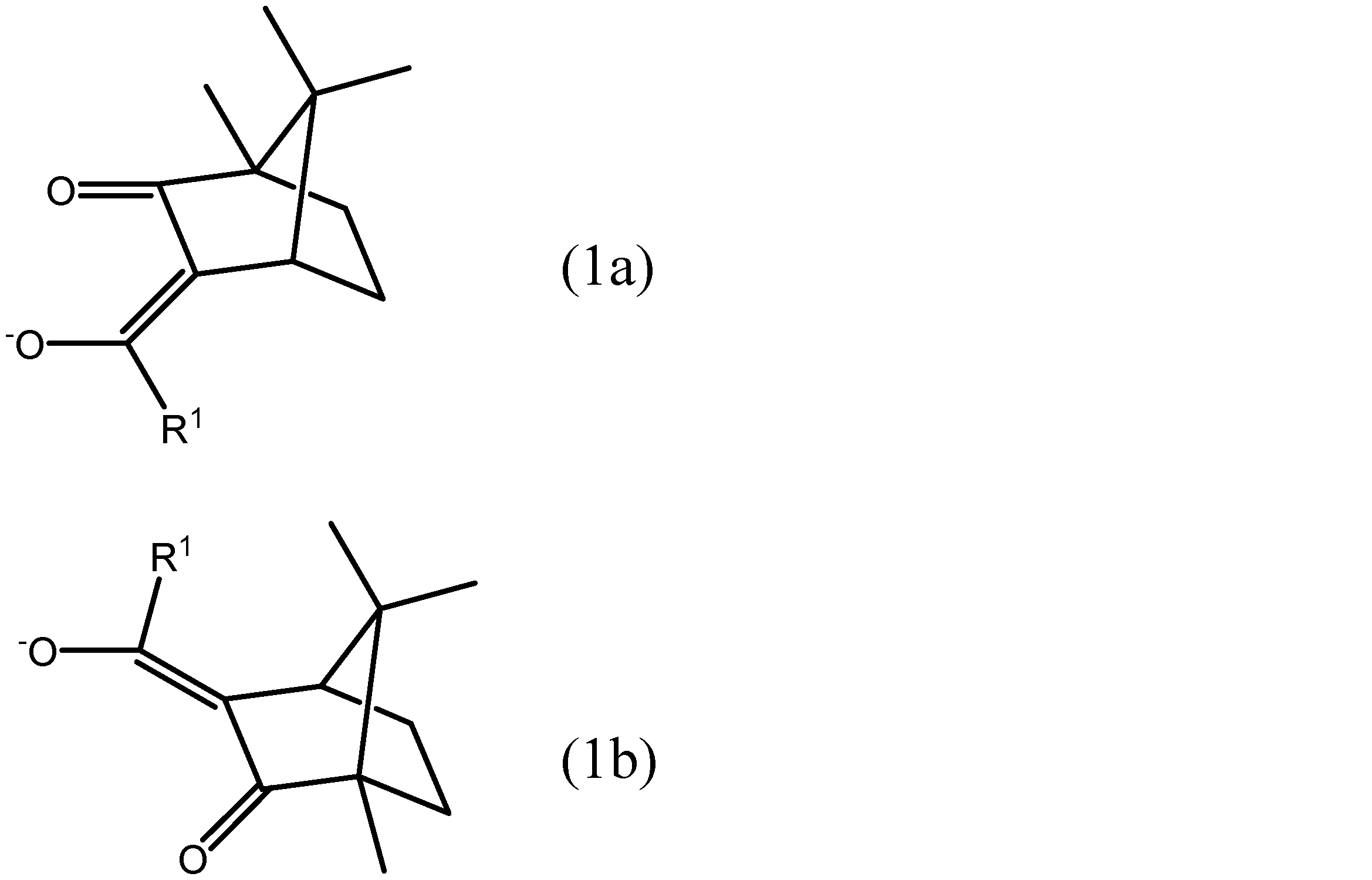 Figure JPOXMLDOC01-appb-C000003