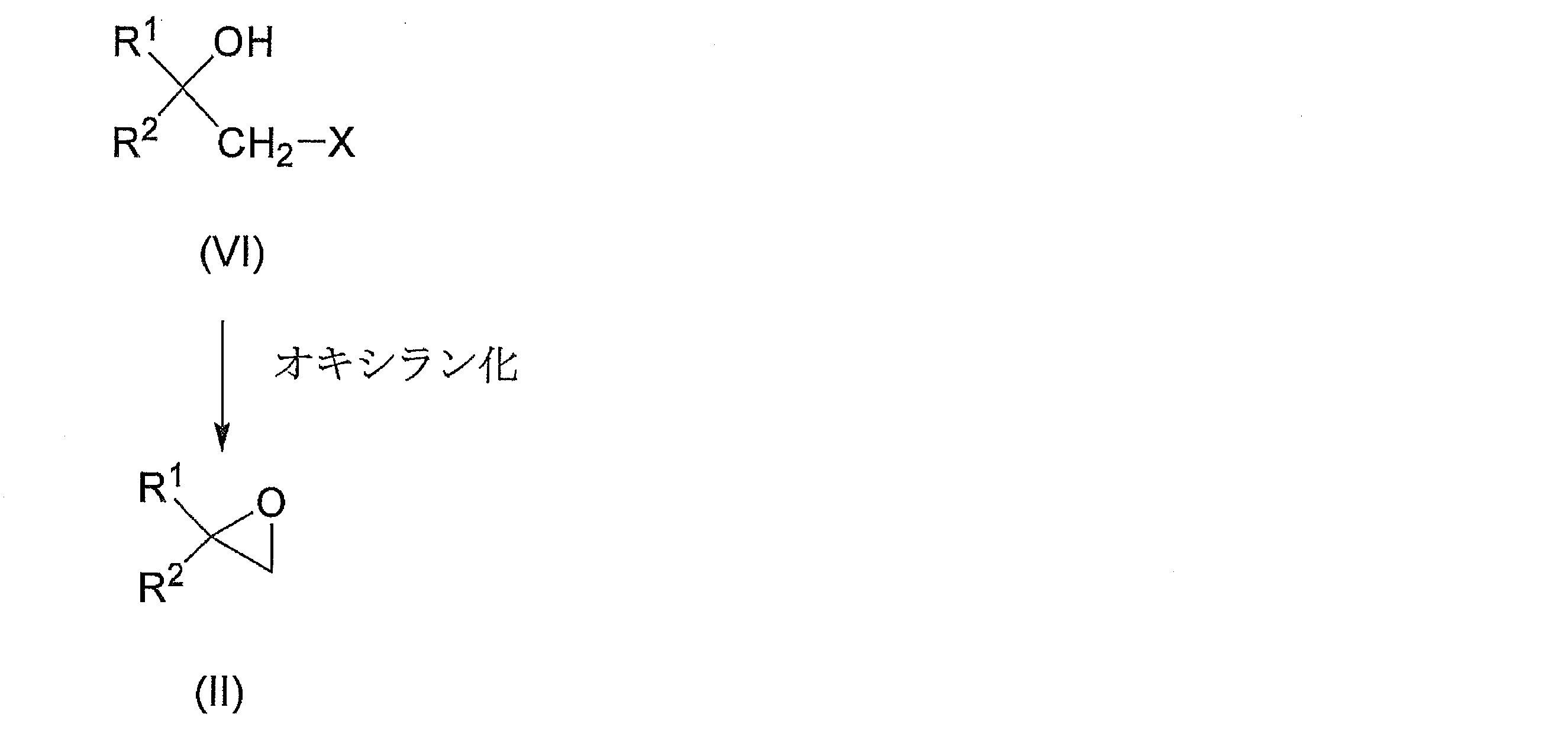 Figure JPOXMLDOC01-appb-C000011