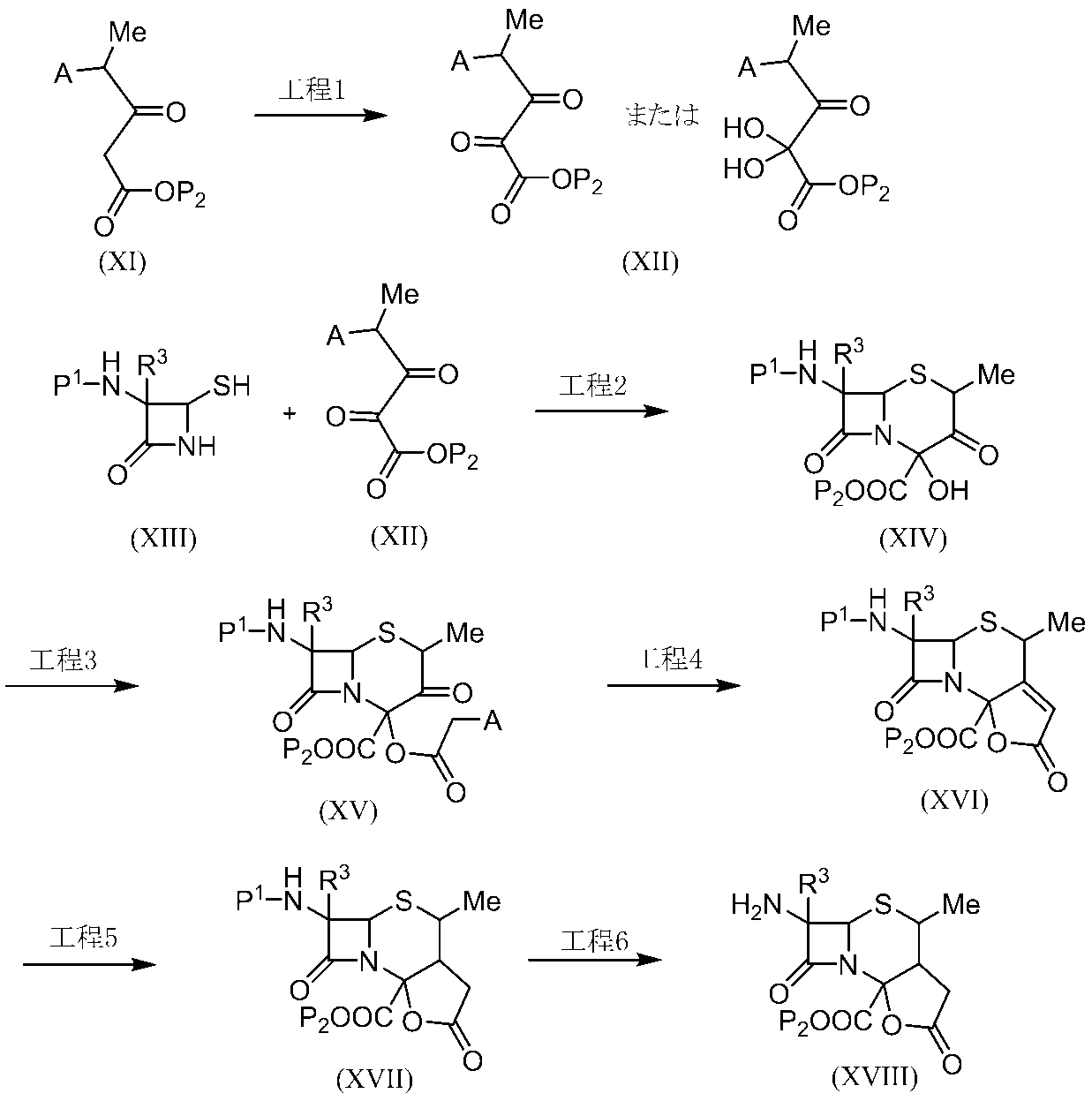 Figure JPOXMLDOC01-appb-C000156