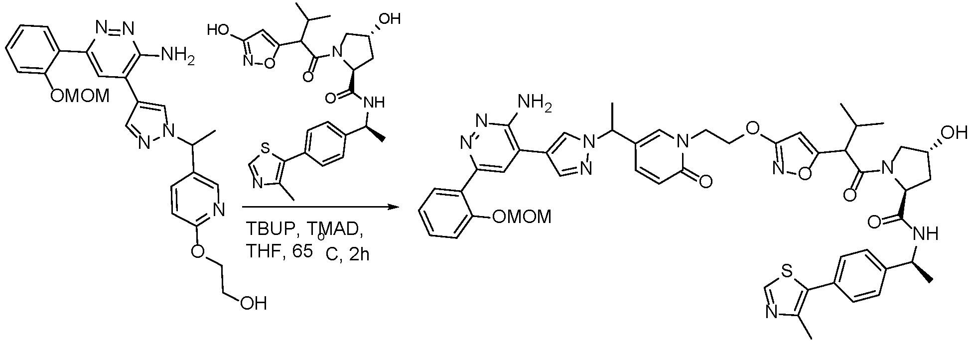 Figure imgb1094