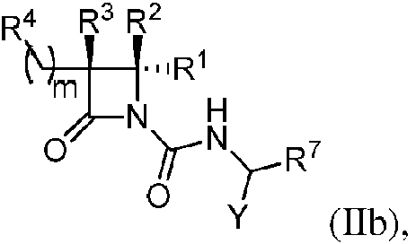 Figure imgf000006_0004