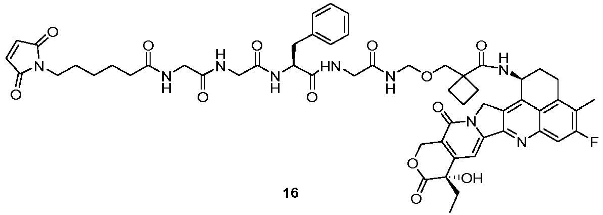 Figure imgb0051