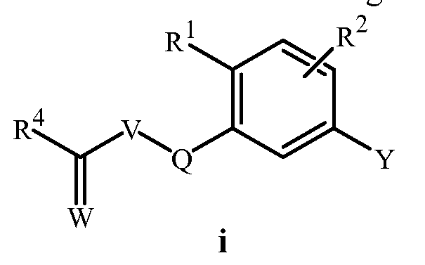 Figure imgf000002_0001